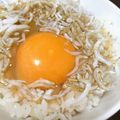 クック3ZVF2C☆'s cooksnap of when they made シラスたっぷり！贅沢☆卵かけごはんTKG.