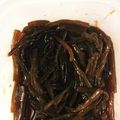 ゆっぴんきぃ's cooksnap of when they made きゃらぶき.