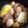sashia's cooksnap of when they made 豚肩ロースの角煮（ストウブ鍋使用）.