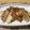 ふんわりしょこら's cooksnap of when they made ★揚げてあげて大根！★.
