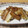 ふんわりしょこら's cooksnap of when they made ★揚げてあげて大根！★.