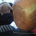 清ちゃん0430's cooksnap of when they made 【ＨＢ】ノンオイル クリームブレッド♥.