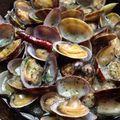 浦島草's cooksnap of when they made あさりのアヒージョ.
