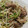 akko。's cooksnap of when they made 豆苗ともやしの塩麹炒め.