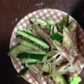 わっきー子's cooksnap of when they made きゅうりとみょうがの浅漬け.