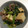 ものぐさtakky's cooksnap of when they made 【一皿で満足】厚揚げと小松菜のたいたん.