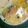 クックD6E6TE☆'s cooksnap of when they made 石狩風鮭とキャベツ煮込み.