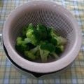 ラリー＆サラ's cooksnap of when they made ブロッコリーの切り方と茹で方.