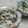 Cookingmam's cooksnap of when they made ひじきの五目白和え.