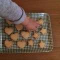 shooori's cooksnap of when they made 簡単♪サブレクッキー(チョコ)。.