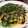 やんちーちゃん's cooksnap of when they made 給料日前にコレ♪もやしのお好み焼き風♪.