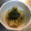 ラクラクダ's cooksnap of when they made 筍のヨモギ味噌和え.