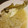 とろけい's cooksnap of when they made カレイのもやしあんかけ.