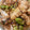 kimimaruo's cooksnap of when they made アジとそら豆、タケノコの豆鼓炒め.