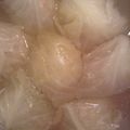 まみさんま's cooksnap of when they made ロールキャベツ☆.