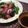 さるちゃんばなな's cooksnap of when they made タイ気分は簡単ナンプラードレッシングから.