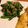 Chippora's cooksnap of when they made 妊婦料理☆アスパラとツナのレモン和え.