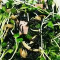 サーモン刺身's cooksnap of when they made たくさん食べよう！ひじきと貝割れのサラダ.