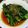 syrup127g's cooksnap of when they made 春菊のあっさりおひたし.