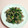 ＊にょにょん＊'s cooksnap of when they made 春菊と牛肉の和風炒め.