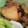 めかにか's cooksnap of when they made ♪レバーとじゃがいもの甘辛炒め♪.