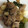 マシュマロ0918's cooksnap of when they made ★豚肉と白ネギの甘辛炒め★.