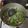 ＊アキラ先輩＊'s cooksnap of when they made アサリとキノコの出汁旨っ！スープ.