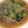 ぽにょ丸's cooksnap of when they made チンゲン菜と　挽き肉　えのきの　ピリ辛煮.