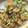 まま♡'s cooksnap of when they made 豚肉と筍の中華炒め♪.