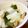 サトモユリア's cooksnap of when they made しいたけと長ネギ炒め.