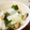 サトモユリア's cooksnap of when they made しいたけと長ネギ炒め.