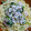 ななまま☆'s cooksnap of when they made 簡単☆和えるだけ☆たらこのクリームパスタ.