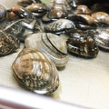 Happy☆Hina's cooksnap of when they made ほっときゃいーさ！あさりの基本の砂抜きだ.