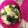 クック0WXE1I☆'s cooksnap of when they made 朝食に♪レタスとハムであったか洋風うどん.