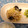 elingo's cooksnap of when they made きくらげと細切りたけのこの中華炒め.