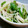 yukitarooo's cooksnap of when they made 新玉ねぎ・鶏肉・みつばの和え物.