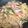 nakaak's cooksnap of when they made うま味絶品♪きのことベーコンの和風パスタ.