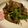 RicchanVE's cooksnap of when they made やみつきイタリアンなす巻き.
