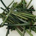 ょン☆'s cooksnap of when they made 簡単！わらびの灰汁抜きナビ.