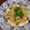 ゆう28同居嫁's cooksnap of when they made えのきとしめじのガーリックバター♪.