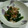 みずほちゃん's cooksnap of when they made 子供が喜ぶ！ほうれん草のお浸し.