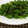 ともこキッチン's cooksnap of when they made 簡単！5分☆ピーマンと塩こぶ和え.