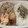 きらり流れ星's cooksnap of when they made しらたきと豚バラのきんぴら.