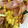 クックMAB152☆'s cooksnap of when they made ほうれん草とたまごのバター醤油炒め♡.