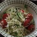 えりんぎぴーまん's cooksnap of when they made 青じそとキャベツのさっぱりサラダ.