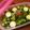 よよっち♪'s cooksnap of when they made 初夏のピクルス。.