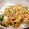ぺん助's cooksnap of when they made 天たまで作る美味しいたぬき丼♪.