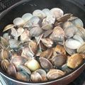 サーフブレイド's cooksnap of when they made はまぐりの洋風酒蒸し.