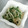 furumie's cooksnap of when they made もやしとにらのごまだれ和え♪.