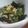 にこにこりょこ's cooksnap of when they made ほうれん草とツナの三杯酢あえ.